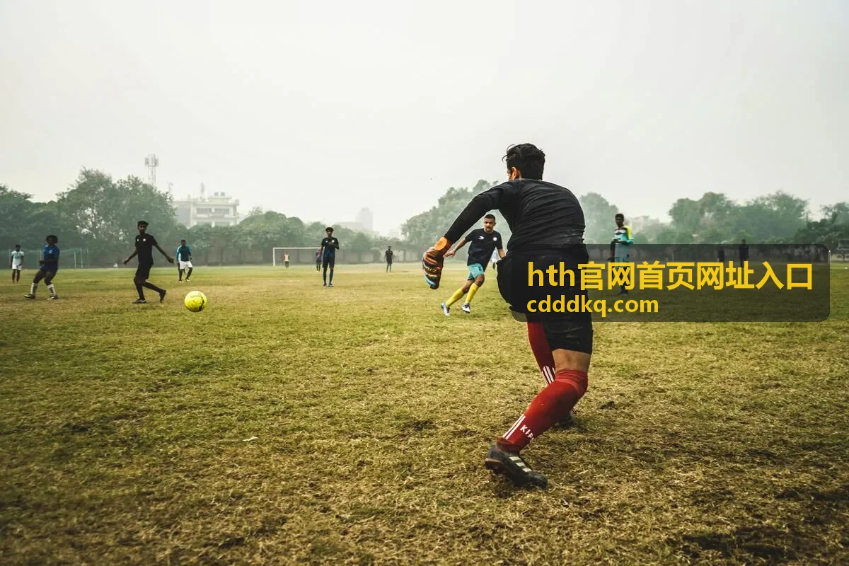 hth官网首页网址入口 浏览器打开方式对比