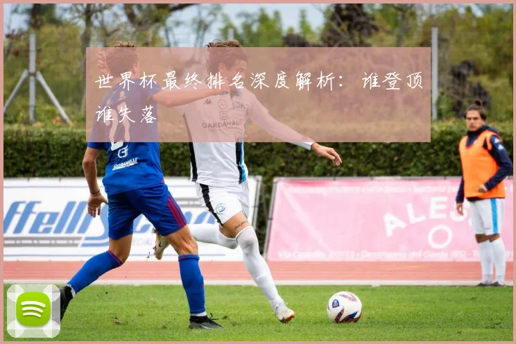 世界杯最终排名深度解析:谁登顶谁失落
