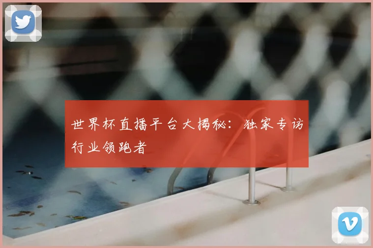 世界杯直播平台大揭秘：独家专访行业领跑者
