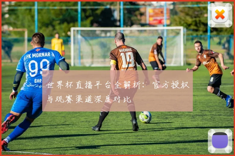 世界杯直播平台全解析：官方授权与观赛渠道深度对比