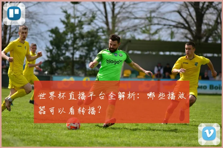 世界杯直播平台全解析：哪些播放器可以看转播？