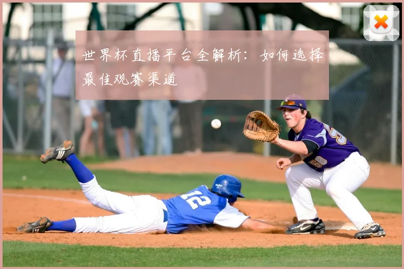 世界杯直播平台全解析：如何选择最佳观赛渠道