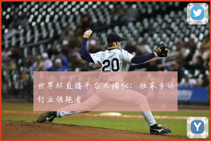 世界杯直播平台大揭秘：独家专访行业领跑者