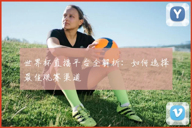 世界杯直播平台全解析：如何选择最佳观赛渠道