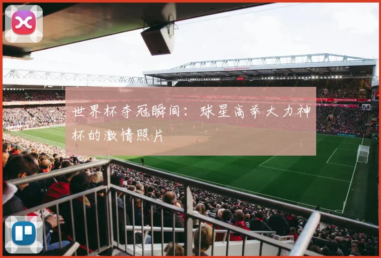 世界杯夺冠瞬间：球星高举大力神杯的激情照片