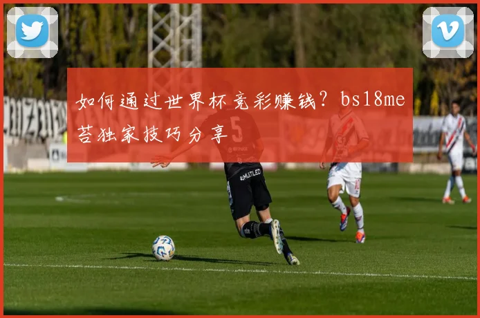 如何通过世界杯竞彩赚钱？bs18me苔独家技巧分享